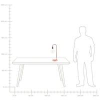 Lampada da Tavolo in Rame brillante stile Industriale Minimalista senza paraluce