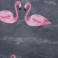 Tappeto Rotondo Stampato Fenicotteri Grigio e Rosa ø 120 cm pelo corto per Bambini