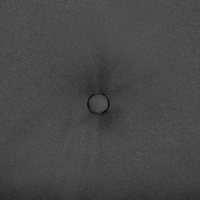 Divano in tessuto Rivestimento in tessuto grigio scuro a 2 posti capitonné con due sostegni