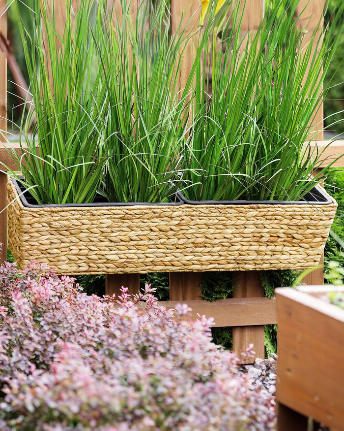 Vaso per piante Beige Giacinto d'acqua Intreccio Rettangolare 80 x 20 cm Sintetico con fori di scolo