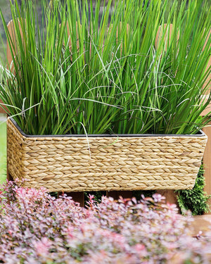 Vaso per piante Beige Giacinto d'acqua Intreccio Rettangolare 60 x 20 cm Sintetico con fori di scolo