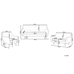 Set da soggiorno in velluto grigio 3 posti poltrona a 2 posti con bottoni trapuntati sullo schienale