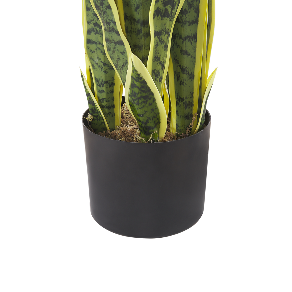 Pianta artificiale di serpente in vaso verde e Nero Materiale sintetico 63 cm Accessorio decorativo per interni