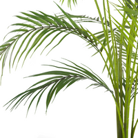Pianta Artificiale in Vaso Verde e Nero Materiale Sintetico 124 cm Falso Areca Palm Accessorio Decorativo per Interni