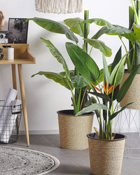 Albero di strelitzia artificiale in vaso verde e Nero sintetico 115 cm materiale accessorio decorativo per interni