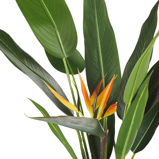Albero di strelitzia artificiale in vaso verde e Nero sintetico 115 cm materiale accessorio decorativo per interni