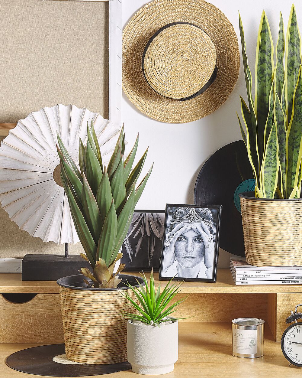 Vaso artificiale di Aloe Vera verde e Nero sintetico 52 cm materiale decorativo accessorio per interni