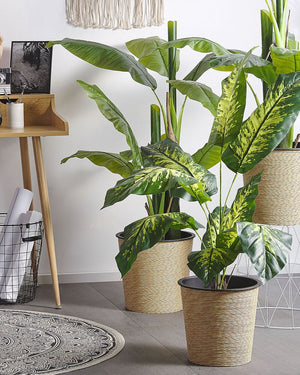 Pianta artificiale Dieffenbachia in vaso Materiale sintetico verde e Nero 122 cm Accessorio decorativo per interni