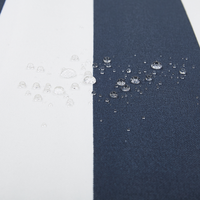 Cuscino di seduta per sedia da giardino Tessuto resistente all'acqua a righe bianche e blu navy