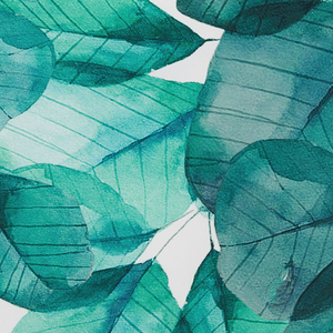 Set di 2 cuscini da esterno poliestere verde acqua blu e bianco quadrato 45 cm motivo foglia Multicolore