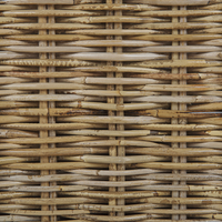 Set di 2 poltrone da giardino in vimini rattan marrone chiaro Set 2 sedie da esterno con cuscini bianchi