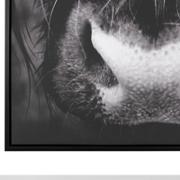 Stampa artistica su tela nera 93 x 63 cm Cornice in poliestere e MDF di toro moderna