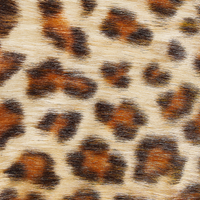 Tappeto Con Stampa Leopardata Marrone Pelliccia Sintetica 60 x 90 cm Soggiorno Camera Da Letto Contemporaneo