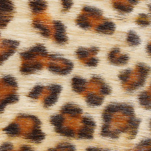 Tappeto Con Stampa Leopardata Marrone Pelliccia Sintetica 60 x 90 cm Soggiorno Camera Da Letto Contemporaneo