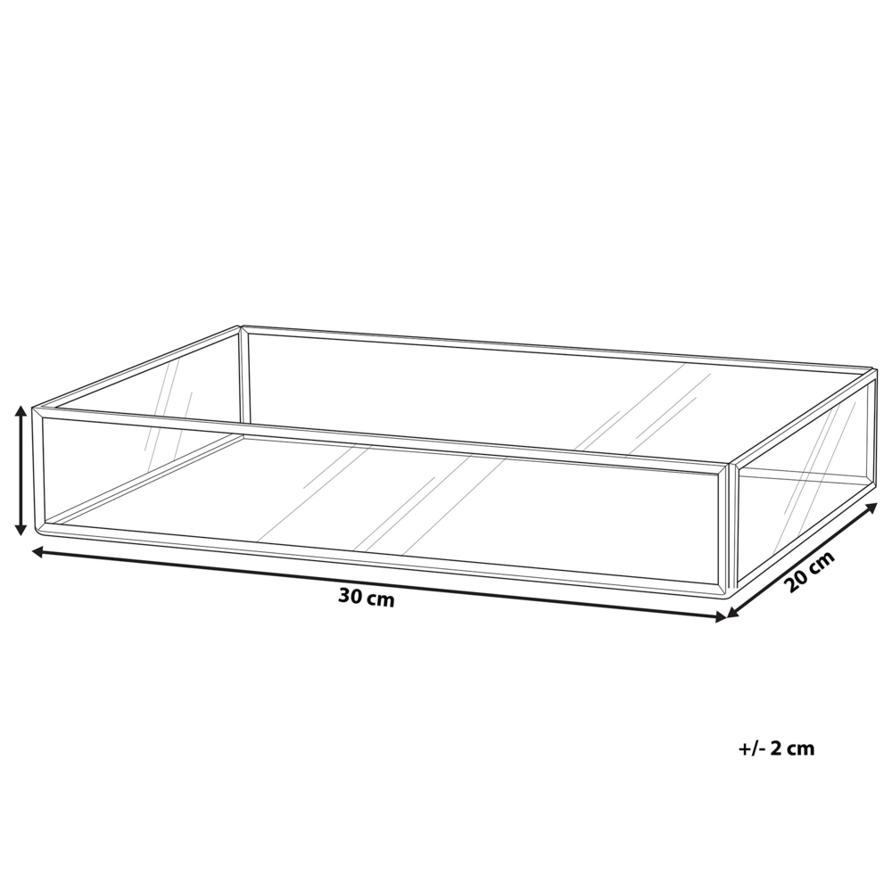 Vassoio Decorativo Argento Metallo e Vetro Rettangolare 30 x 20 cm Pezzo per Gioielli Candele