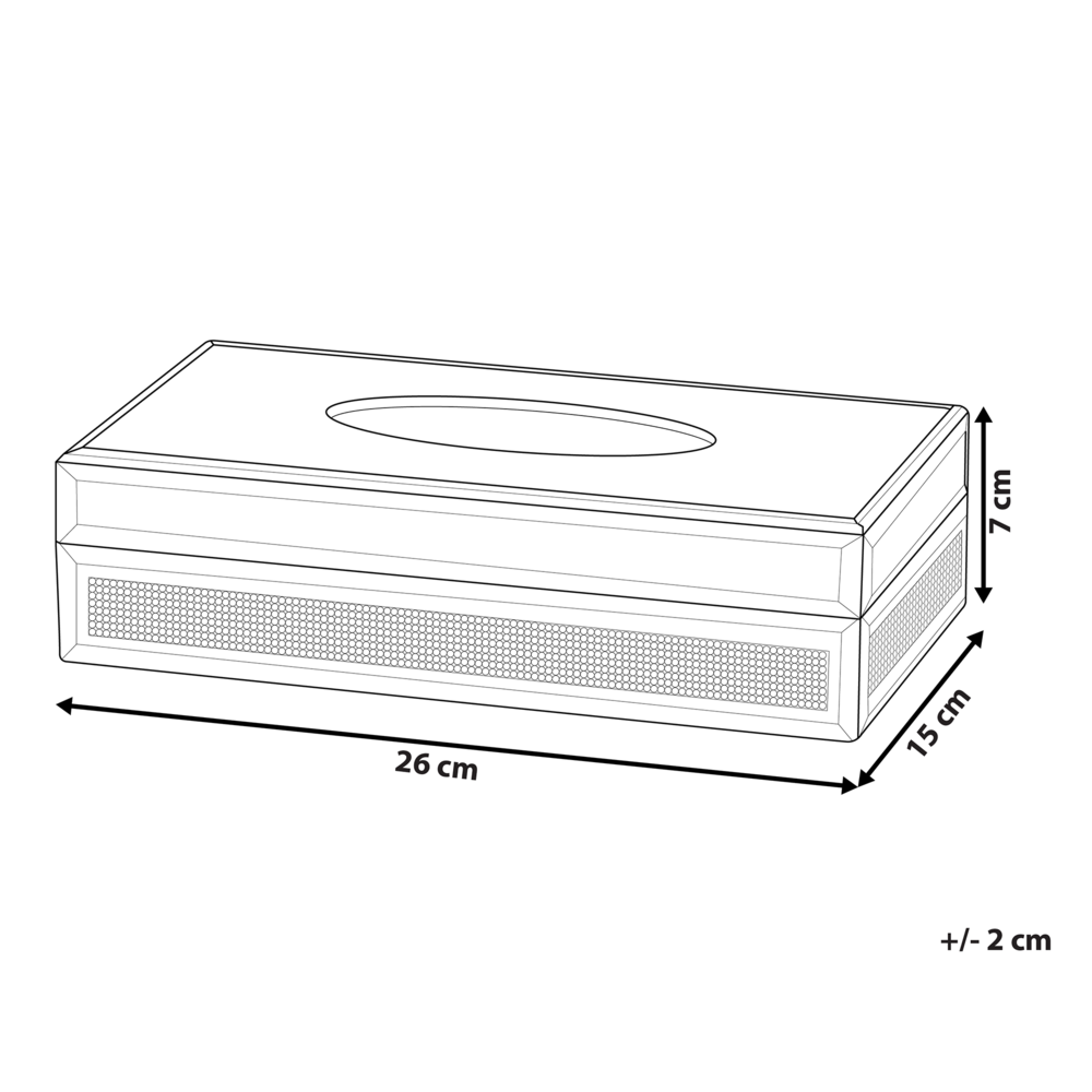 Porta fazzoletti a specchio Cristalli d'argento Accessorio decorativo per la casa