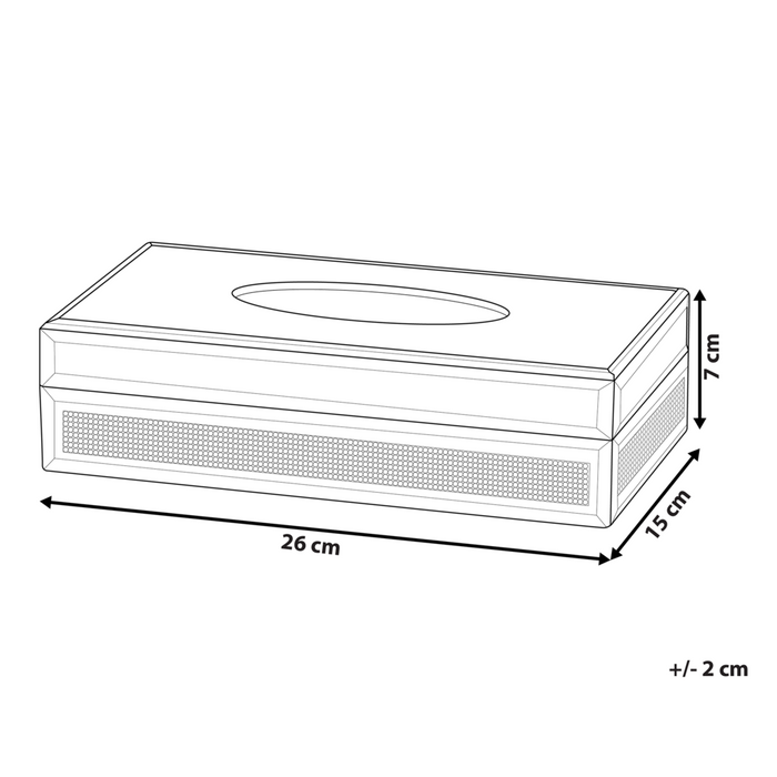 Porta fazzoletti a specchio Cristalli d'argento Accessorio decorativo per la casa