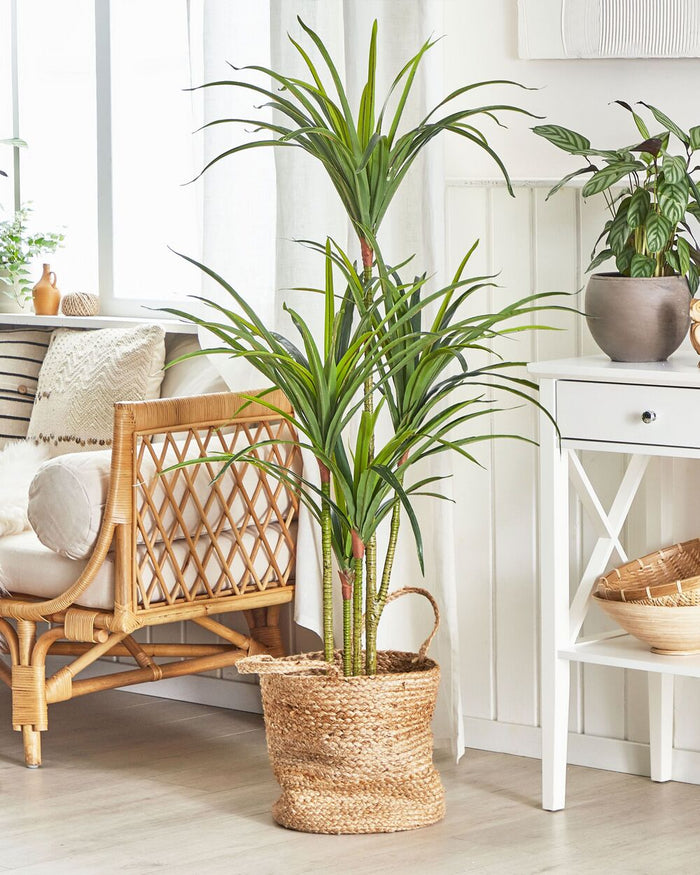 Dracaena artificiale in vaso in materiale sintetico verde 147 cm Accessorio decorativo per interni