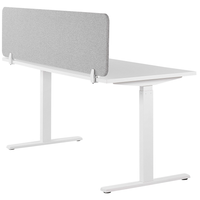 Pannello Divisorio Grigio Chiaro Fonoassorbente 160 x 40 cm in Plastica PET