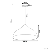 lampadario a Sospensione Argento con Lampada in Vetro Incrinato