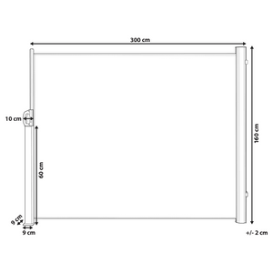 Tenda Laterale da Sole Estraibile Per Giardino Rettangolare 160 x 300 cm Beige