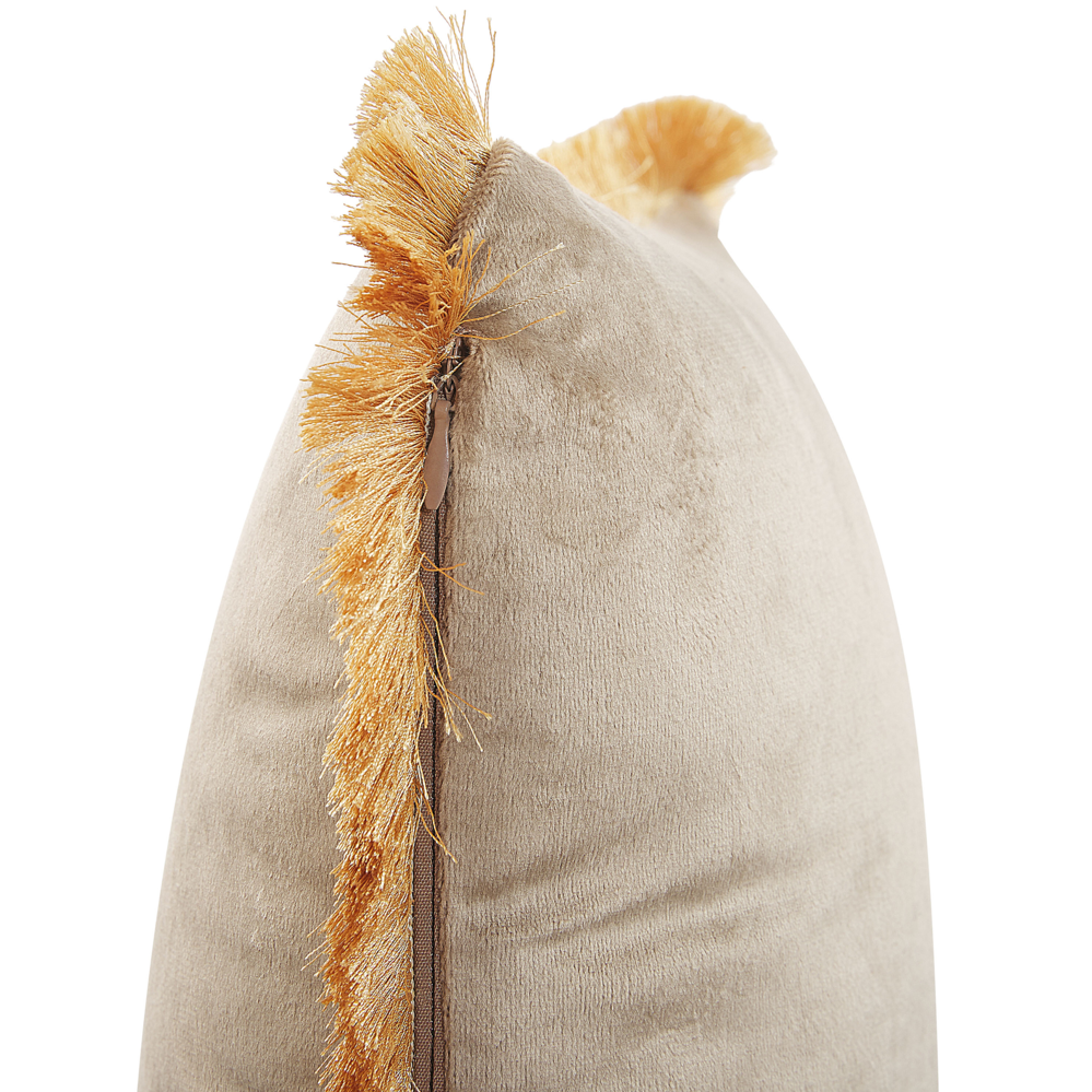 Set di 2 cuscini velluto Accessorio decorativo nappe 45 x 45 cm beige
