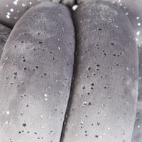 Morbido Cuscino a Forma di Nodo Decorazione Soggiorno 30 x 30 cm Grigio