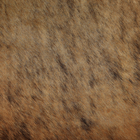 Tappeto in vera pelle di mucca marrone chiaro 2-3 m² rustico brasiliano