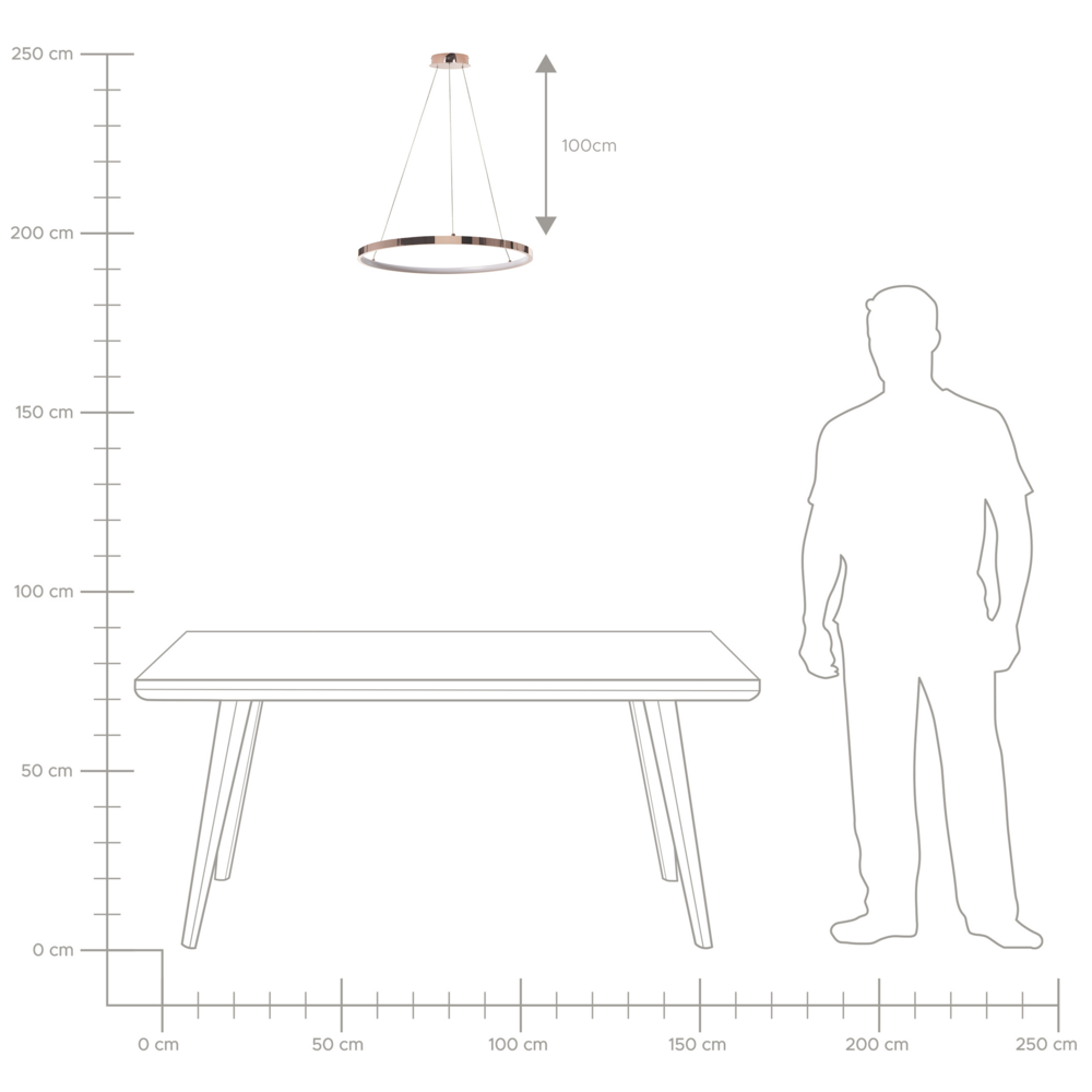 Moderna Lampada a Sospensione Illuminazione LED Integrata Anello Rotondo ø 50 cm Oro Rosa