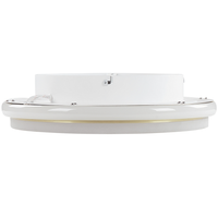 Lampada da soffitto a LED in metallo dorato 42 cm Paralume ad anello in acrilico opale LED Luce bianca calda Illuminazione a filo