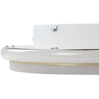 Lampada da soffitto a LED in metallo dorato 42 cm Paralume ad anello in acrilico opale LED Luce bianca calda Illuminazione a filo