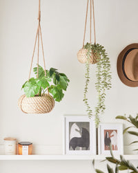 Set di 2 vasi per piante sospesi alghe naturali 27 x 86/ 22 x 69 cm Accessorio per la casa Fioriera stile boho