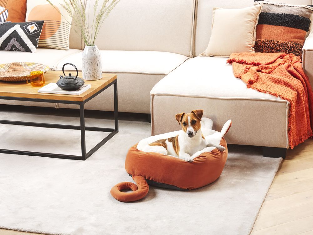 Lettino per animali domestici a forma di topolino arancione e bianco in velluto