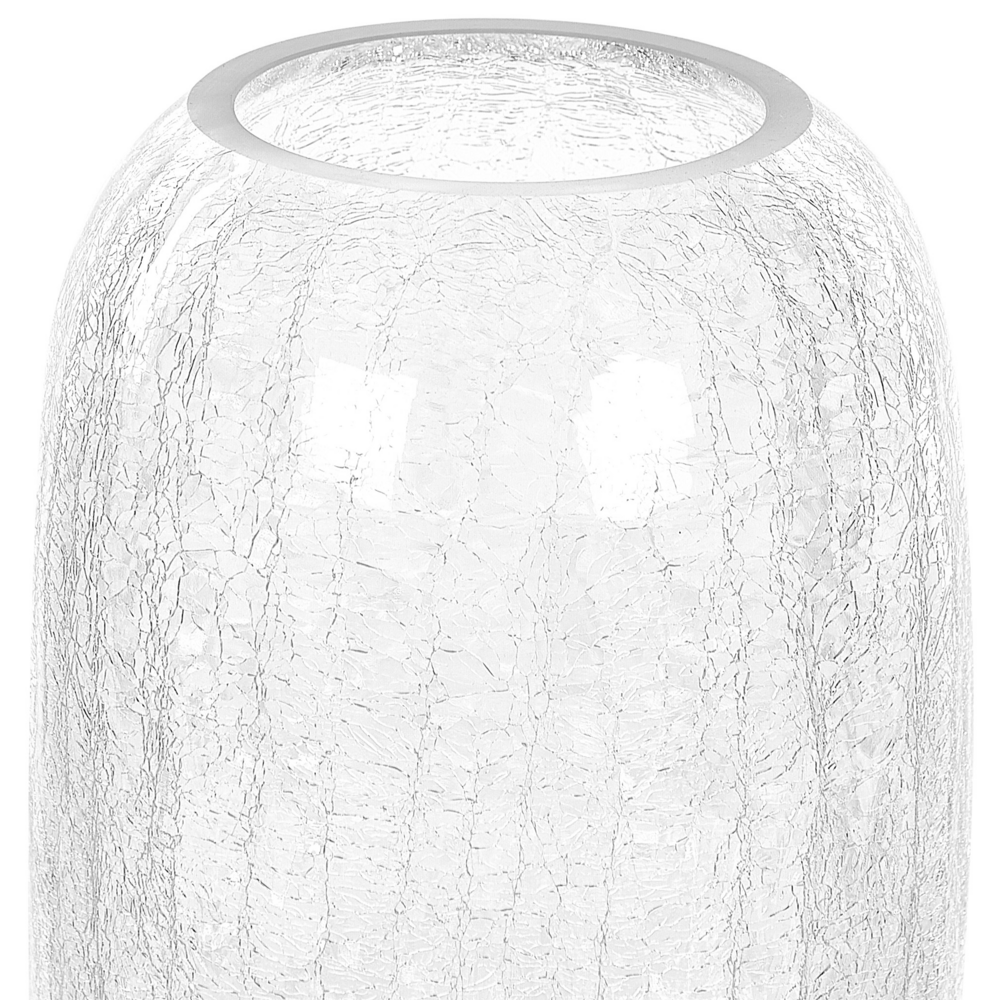 Vaso da fiori di forma rotonda vetro trasparente 28 cm stile moderno minimalista