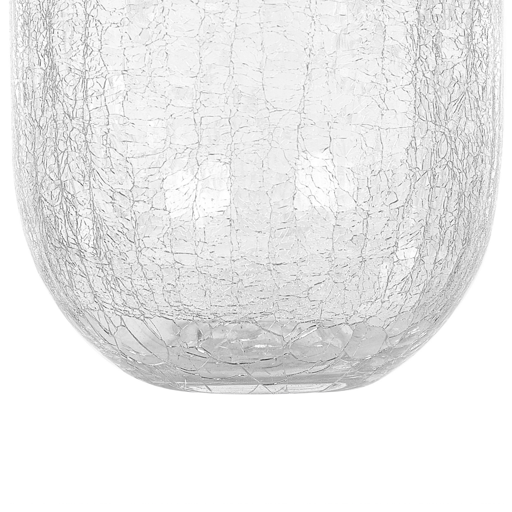 Vaso da fiori di forma rotonda vetro trasparente 28 cm stile moderno minimalista
