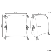 Set di 2 cuscini decorativi cotone beige chiaro 45 x 45 cm motivo geometrico nappe rivestimento sfoderabile con imbottitura boho