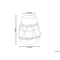 Vaso decorativo in terracotta bianca Stile naturale per fiori secchi