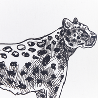 Set di 2 cuscini in velluto con stampa di animale 45 x 45 cm bianco divano soggiorno camera da letto