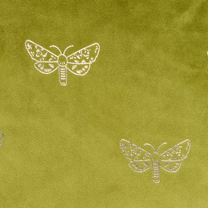 Set di 2 cuscini sparsi in velluto verde chiaro 45 x 45 cm Cuscino da lancio con motivo a farfalla sfoderabile con imbottitura