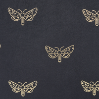 Set di 2 cuscini sparsi in velluto nero 45 x 45 cm Cuscino da lancio con motivo a farfalla Sfoderabile con imbottitura