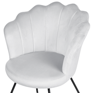 Sedia senza braccioli Rivestimento in velluto grigio Schienale a conchiglia Design classico vintage Struttura in metallo nero