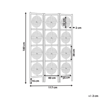Divisorio per ambienti in rattan naturale con telaio in mogano 3 pannelli pieghevoli schermo decorativo in vimini divisorio