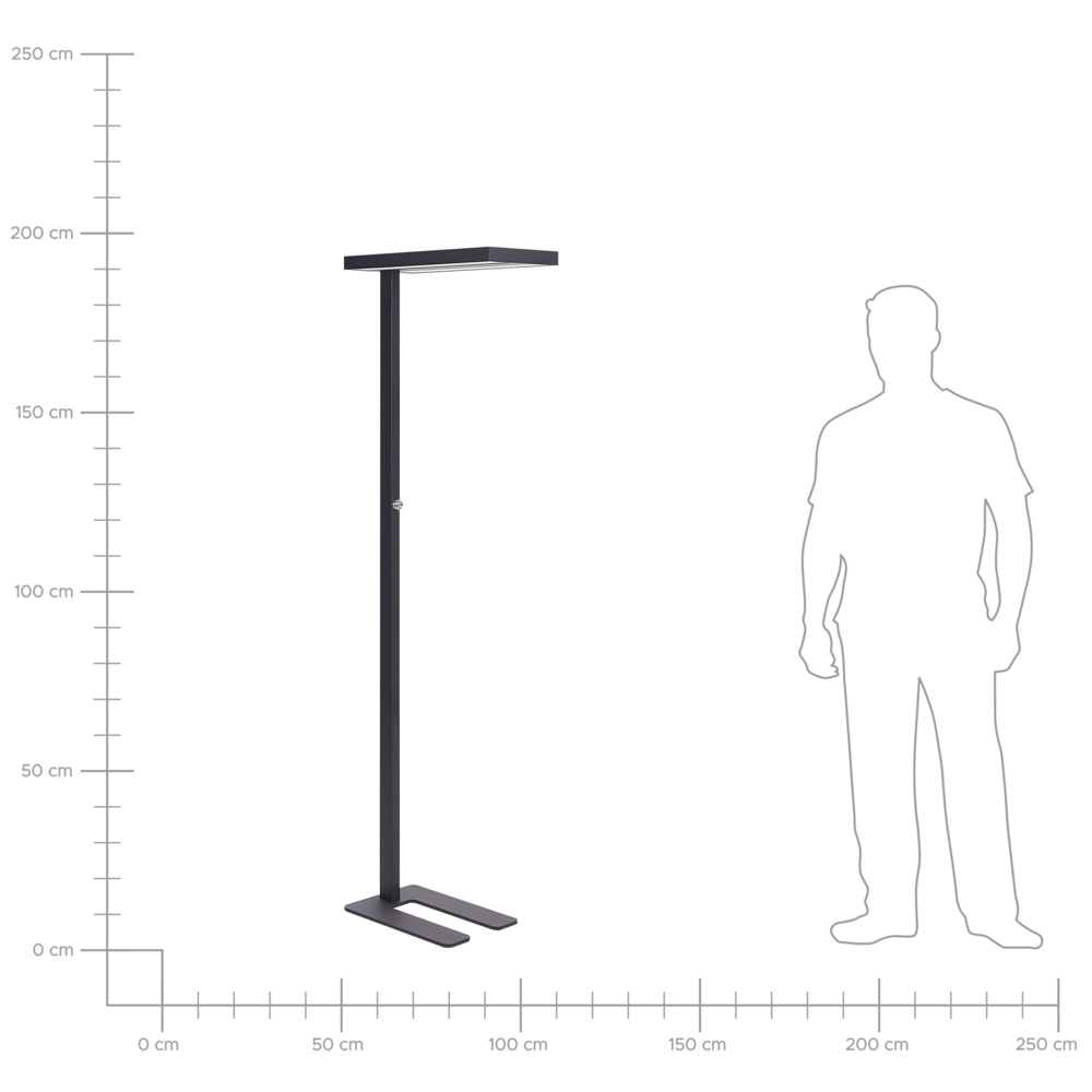 Lampada a LED da terra in alluminio nero altezza 197 cm Manopola Interruttore Dimming Illuminazione moderna industriale Casa Ufficio