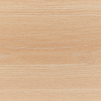 Set di 2 sedie da pranzo in legno chiaro con decorativo design moderno e tradizionale