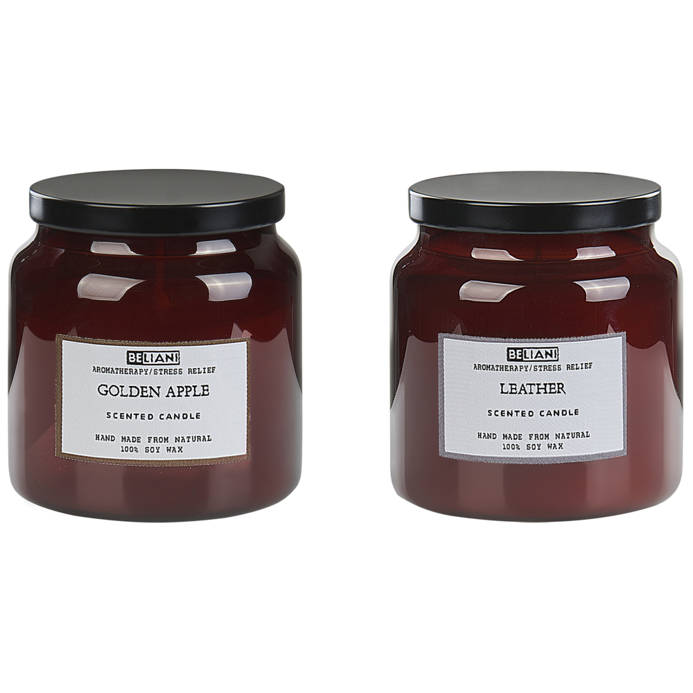 Set di 2 candele profumate multicolore 100% cera di soia stoppino di cotone vetro alimentare fragranza fresca mela dorata/pelle