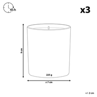 Set di 3 candele profumate in cera di soia 100% fragranza floreale frutta fresca crostata di mele, gelsomino e sole d'inverno stoppino cotone fragranza fruttata floreale