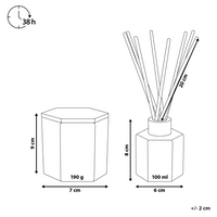 Set candela profumata in cera di soia 100% e diffusore con bastoncini, stoppino di cotone, vetro profumo fresco brezza marina