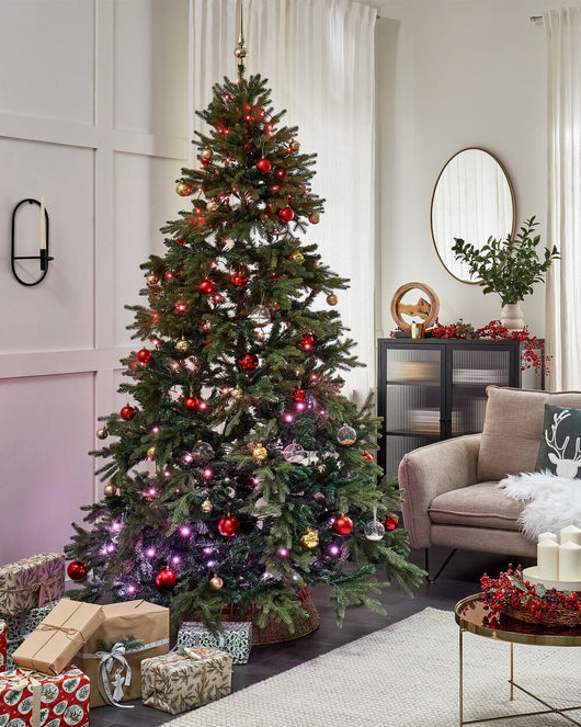 Catena luminosa a LED con 100 luci nere con cambio di colore controllato da app 2700 cm con timer e interruttore Luci di Natale Soggiorno