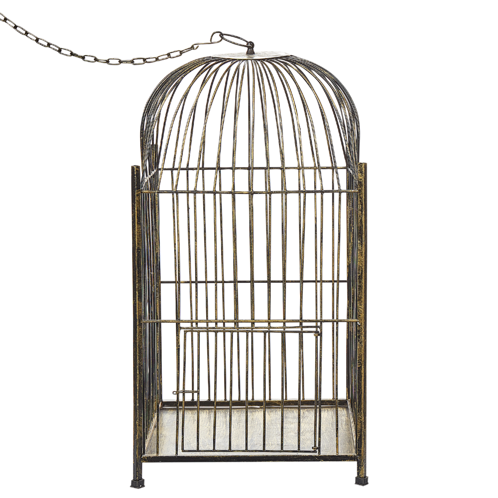 Lanterna decorativa in metallo dorato a forma di gabbia da appendere decorazione moderna
