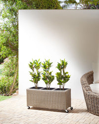 Vaso per piante su ruote in finto PE Rattan marrone con 3 inserti interni ed esterni